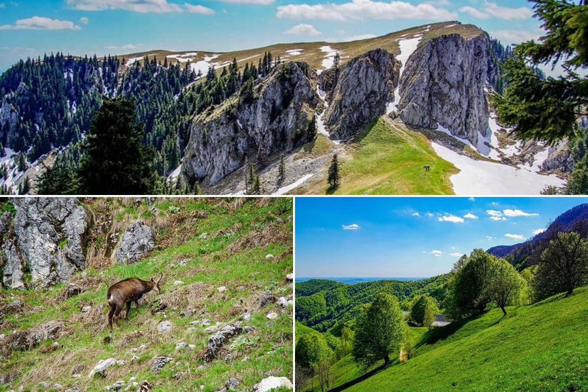 In the mountains of Căpățânii